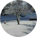 Ryan Tatem profile picture
